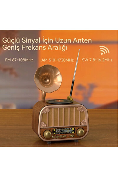 BATEGEN Nostaljik Gramofon Görünümlü Radyo Bluetooth 5.4 Hoparlör - Type-C | ...