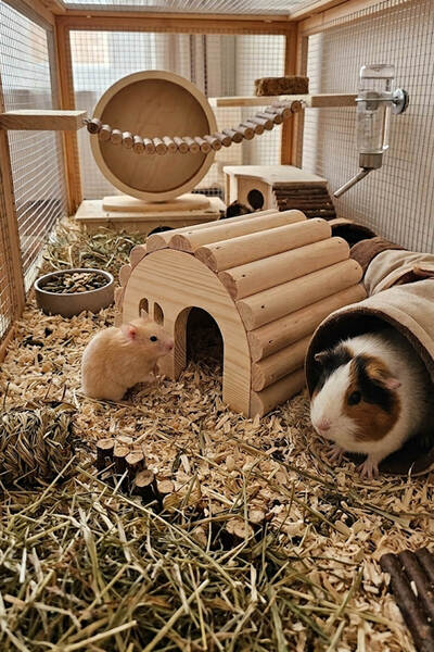 Kuzeylina Hamster Evi Doğal Ahşap El Yapımı Hamster Yuvası