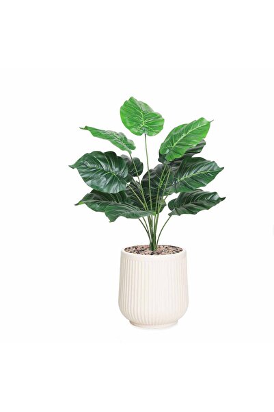 co arma Plant with realistic heart-shaped leaves and a decorative pot – 55 cm...