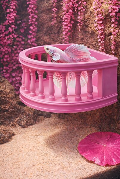 Akvaryum Beta Dinlenme Alanı ( Pembe ) Beta Yuvası Dişi Beta ve Erkek Beta Ba...