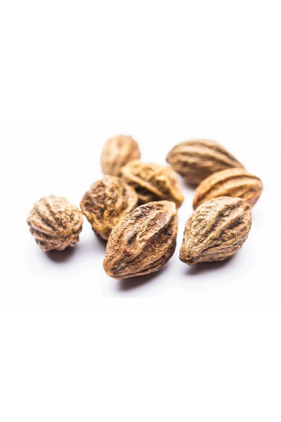 Derya Eren Sarı Halile Sarıhalile (Terminalia Chebula) 100Gr,
