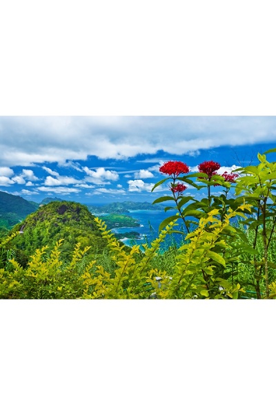 media Πίνακας σε καμβά: Κόκκινα λουλούδια πάνω από τον κόλπο, 105 x 70 εκ.