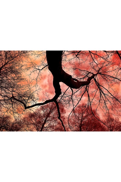 media Πίνακας σε καμβά: Ουρανός σε φλόγες, 75 x 50 εκ.