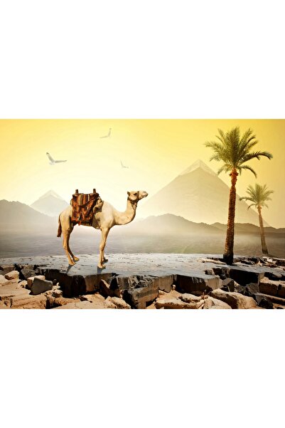 media Tablou canvas Piramida5, 90 x 60 cm