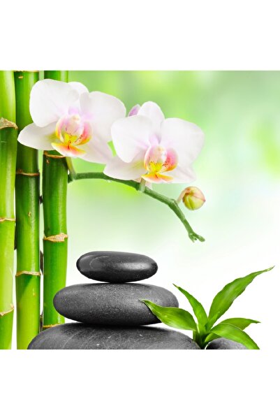 media Πίνακας σε καμβά με λουλούδια 11, 70 x 70 εκ.