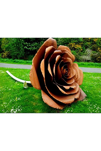 media Πίνακας σε καμβά Τριαντάφυλλο και ξύλο, 75 x 50 εκ.