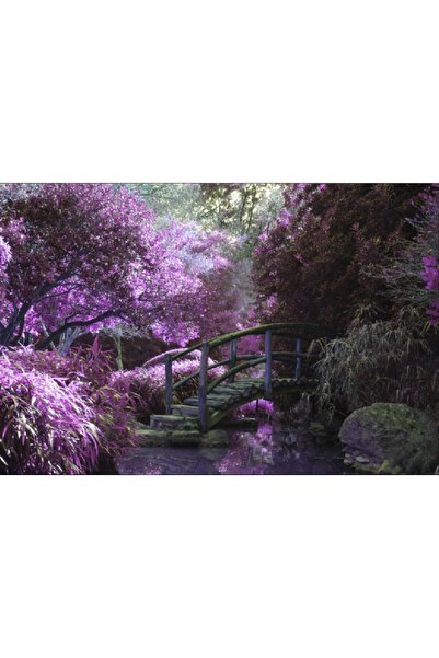 media Tablou canvas Podet in padurea mov, 60 x 40 cm