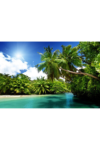 media Πίνακας σε καμβά Πράσινα φοίνικα, 45 x 30 εκ.