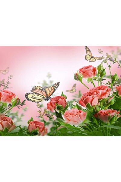 media Πίνακας σε καμβά: Πεταλούδες που πετούν πάνω από κόκκινα τριαντάφυλλα, ...