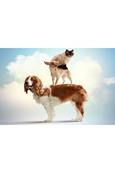 media Πίνακας σε καμβά με Πυραμίδα Ζώων, 60 x 40 εκ.