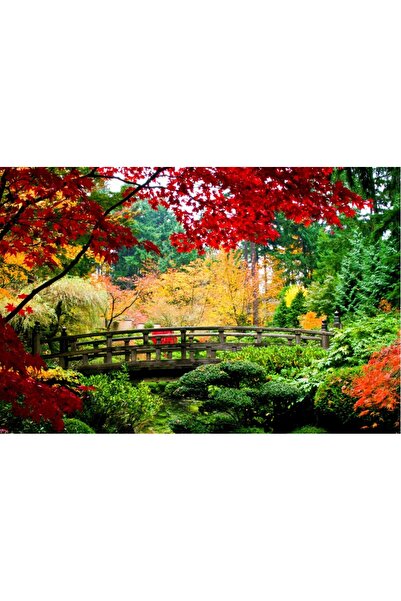 media Πίνακας σε καμβά με θέμα Κινεζικό Κήπο, 45 x 30 εκ.