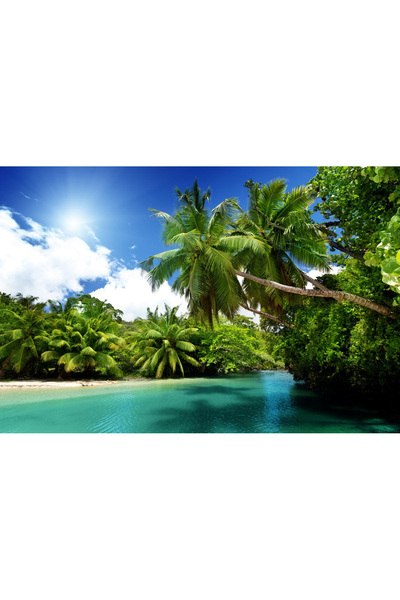 media Πίνακας σε καμβά Πράσινα φοίνικα, 105 x 70 εκ.