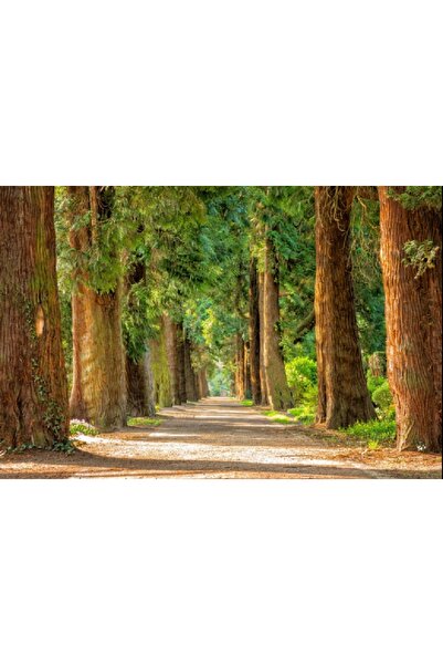 media Πίνακας σε καμβά: Θρησκευτικά αποσπάσματα πολιτικής πολιτείας, 75 x 50 εκ.