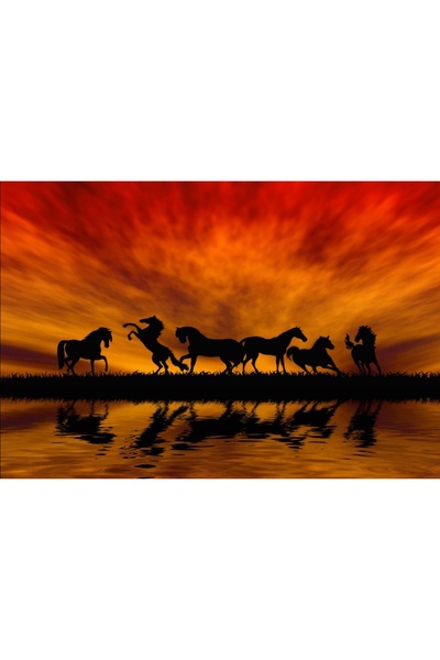 media Πίνακας σε καμβά: Άλογα στο ηλιοβασίλεμα, 75 x 50 εκ.