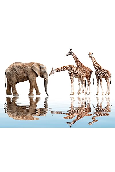 media Tablou canvas Intalnire in savana, 105 x 70 cm
