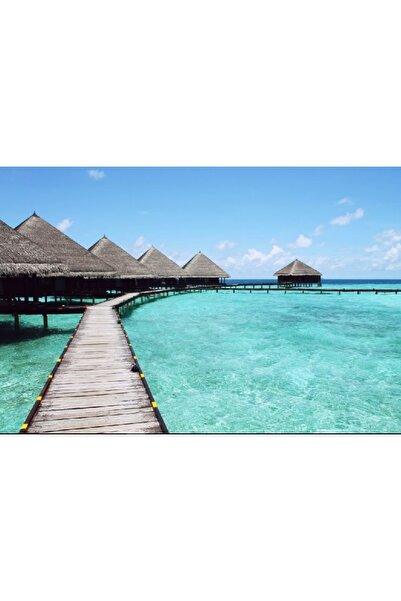 media Πίνακας σε καμβά Μπόρα Μπόρα, 45 x 30 εκ.