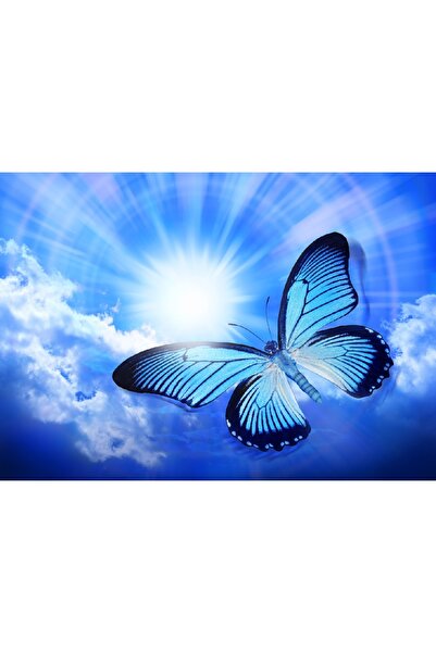 media Πίνακας σε καμβά Μπλε Πεταλούδα, 105 x 70 εκ.