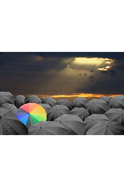 media Πίνακας σε καμβά: Ομπρέλα ουράνιο τόξο, 60 x 40 εκ.