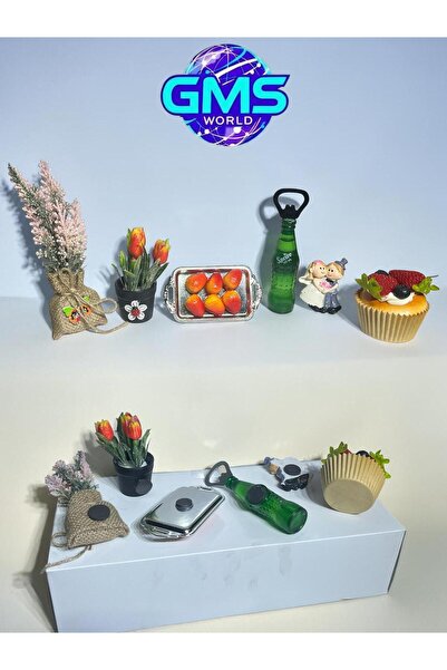 GMS WORLD 6 LI BUZDOLABI MAGNET SETİ (ŞİŞE AÇACAKLI) MODEL-5