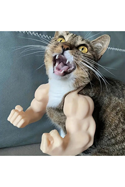 Lades Muscular Cat Costume Accessory Funny and Cute Pet