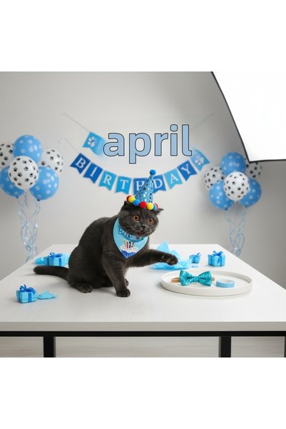 Lady Fify Birthday Party Set for Cat and Dog (5 Pieces) (12-Piece Candle Set with Gift)