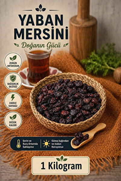 ÜLKÜ KURUYEMİŞ (1 KG) Yerli Üretim Doğal Organik Yaban Mersini Hediyelik Atış...