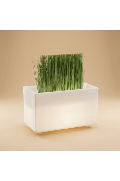 MYASEM STORE Rectangular Shape Grow Box with Led Light Big Size 68X39Cm Lldpe Plastic 30L