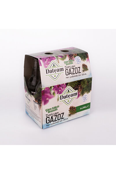 Datçam Çam Sakızı Aromalı Datça Gazozu 200 Ml 6'lı