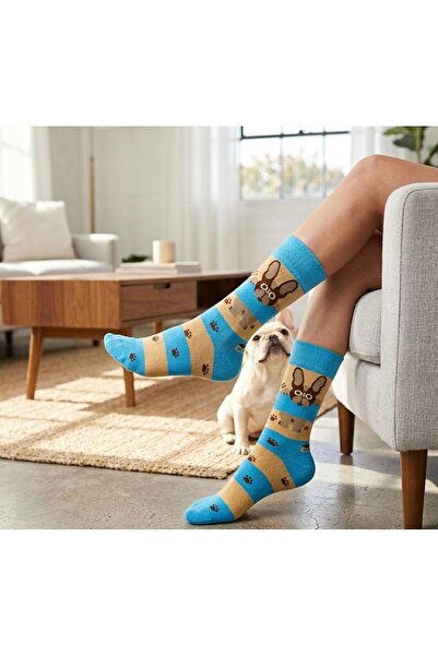 Çorap Kurdu Patterned Colorful Unisex Socks