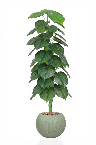 MARIA HOMES 195 CM Artificial Philodendron Tree with Round Sage Green Fiber P...