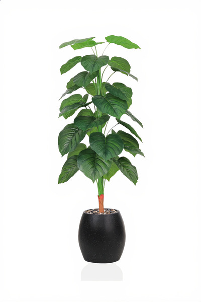 MARIA HOMES 163 cm Artificial Heart Leaf Plant with Fiber Pot for Home & Offi...