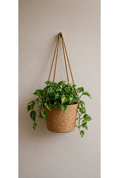 ÖRGÜM Çiçeklik Dekoratif Saksılık 15x15 Cm BİTKİ VE ASMA APARATI DAHİL DEĞİLDİR