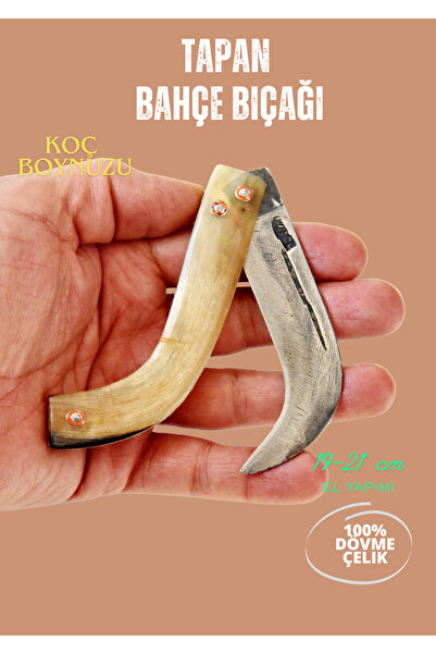 TAPAN BIÇAĞI Tapan Ters Aşı Bıçağı 19-21 cm Koç Boynuzu Kara Çelik Sarı