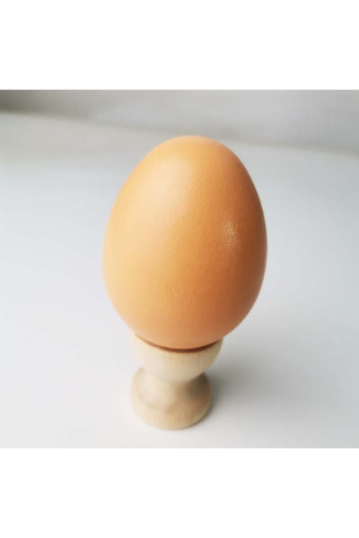 Jasmine Elegance بيض خشبي وهمي صلب للرسم والتلوين، لعبة محاكاة للأطفال، بيض ل...