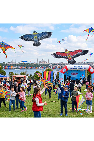 Cici Oyuncak Kız Erkek Çocuk Oyuncak Etkinlik Piknik Kartal Uçurtma Serisi Gö...