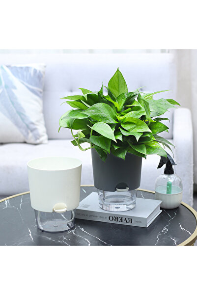 Saksıdan Sofraya Akıllı Kendi Kendini Sulayan Modern Saksı (Orta Boy)
