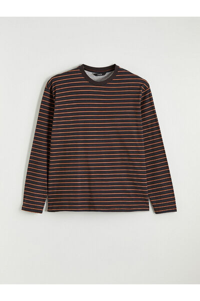 LC Waikiki Brown Crew Neck Long Sleeve Striped Men's T-Shirt