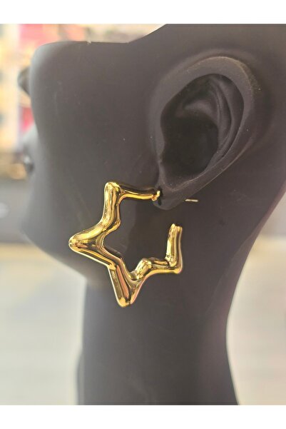 Elvinege Aksesuar Earrings - Star Steel Earrings