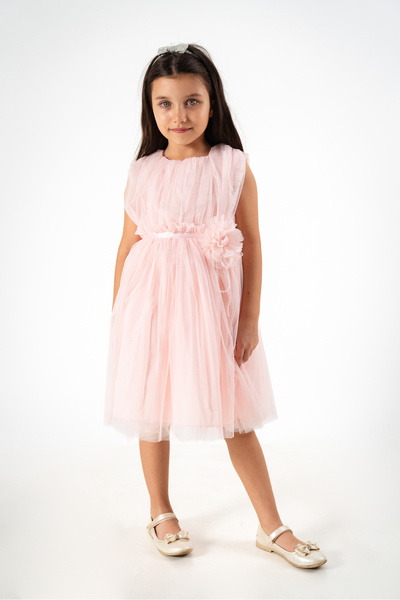 Canwin Girl's Floral Detailed Tulle Dress Powder