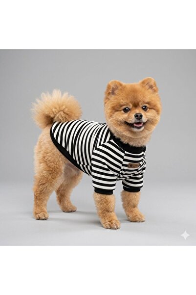 Luli Pet Örme Kalın Dokulu Köpek T-shirt