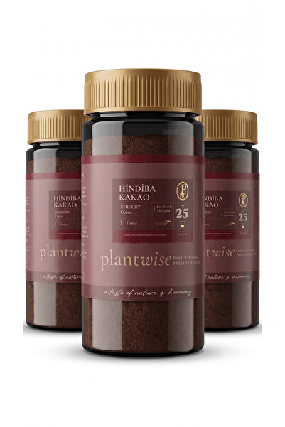 Plantwise 3'lü Kakaolu Hindiba | %80 Hindiba %20 Kakao | 100g Cam Kavanoz