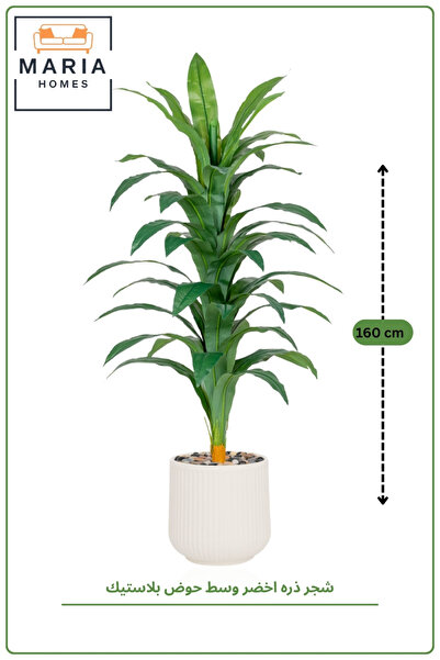 MARIA HOMES Artificial Dracaena Plant 160cm in Plastic Pot for Indoor Home Decor