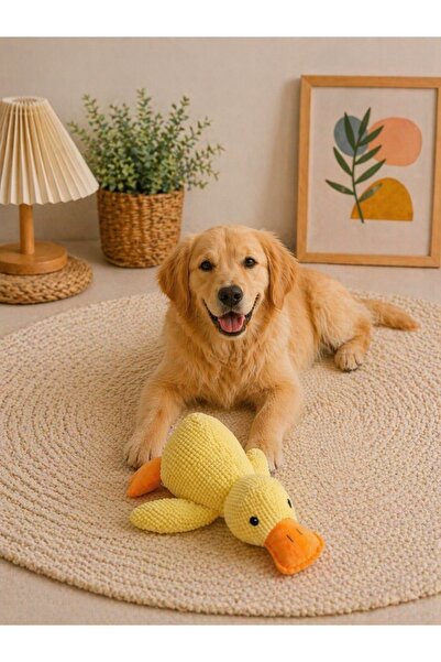 HAYHAYPETSHOP لعبة كلب قطيفة ناعمة على شكل بطة مع أصوات ناعمة وصديقة للأسنان ...