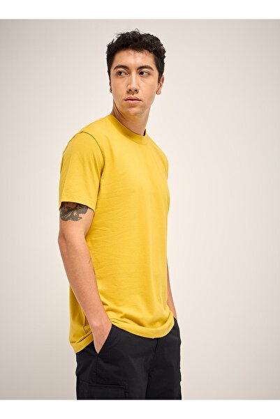 The Bear House Men’s Short Sleeve T-Shirt, Soft Fabric, Comfortable Fit & Cas...