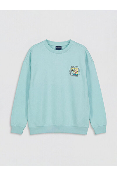 LC Waikiki Nevavm Oval Collar Printed Boys' Sweatshirt with Difference