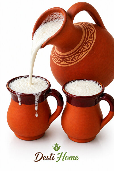 DestiHome El Yapımı Terleyen Su Ve Ayran Testisi 2'Li Bardak (Testi 2,5lt)