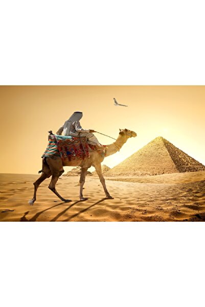 media Πίνακας σε καμβά Πυραμίδα10, 45 x 30 εκ.