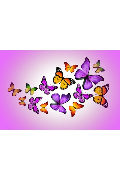 media Πίνακας σε καμβά Πολύχρωμες πεταλούδες, 105 x 70 εκ.