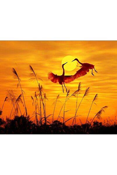 media Πίνακας σε καμβά Ο Χορός των Γερανών, 75 x 50 εκ.