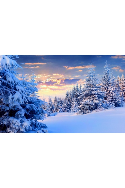 media Πίνακας σε καμβά Χειμερινό ηλιοβασίλεμα, 60 x 40 εκ.